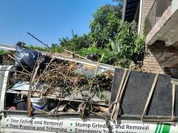 Best Hoarding Cleanup  in Manchester, TN